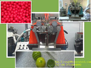 20 quilowatts da maquinaria farmacêutica para o fabricante macio da cápsula/micro lubrificação do óleo