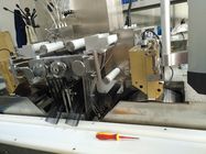 Máquina farmacêutica da cápsula de Softgel para o óleo de peixes Softgel 120000 PCes/H