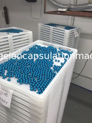 Máquina de baixo nível de ruído da capsulagem do Paintball do controle do PLC com tela táctil