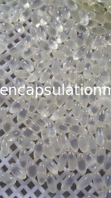máquina farmacêutica da fabricação da cápsula da máquina de enchimento de 3Kw Softgel