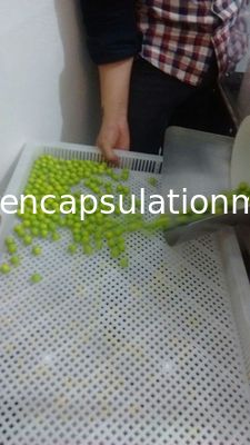 Grande escala da capsulagem eficiente alta elétrica de Softgel da máquina do fabricante do Paintball