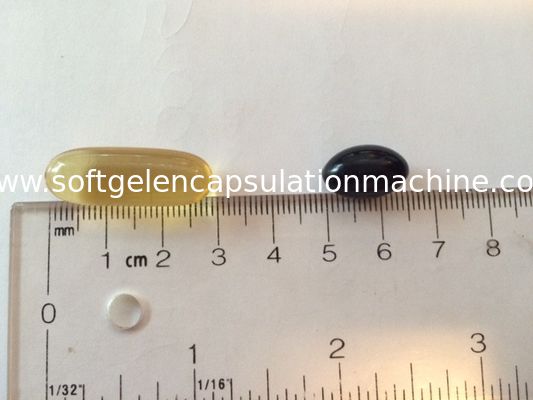 As peças da máquina de embalagem da capsulagem escovam a bomba da cunha da injeção da caixa do spredox e morrem rolos