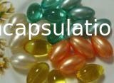 Máquina de testes da dureza de Softgel para a produção macia da capsulagem da cápsula e do Paintball