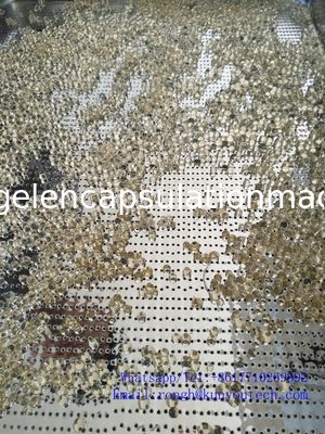 380V / máquina macia da capsulagem da gelatina 220V sem emenda com garantia de 1 ano