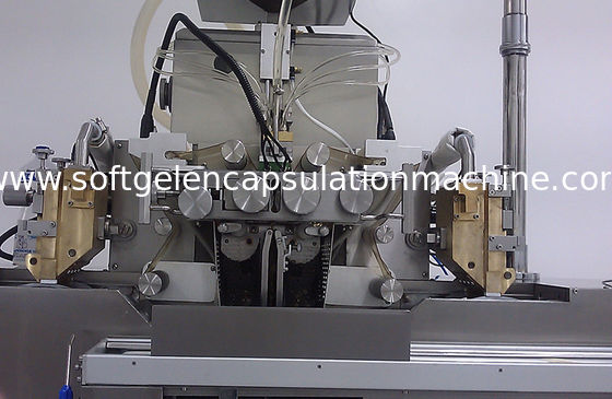 A caixa e o dado do propagador rolam as peças da máquina de enchimento da capsulagem da cápsula do cobre