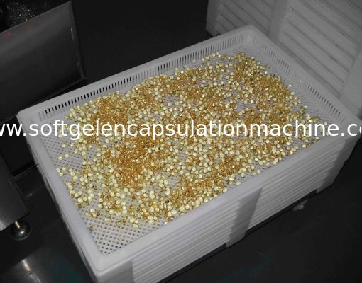 Produto bandejas de secagem plásticas para secar o Paintball/Softgel/cápsula com certificado