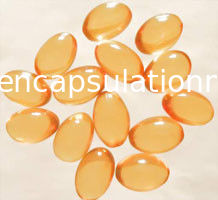 Equipamento elétrico da máquina da capsulagem de Softgel da vitamina/fabricação de Softgel
