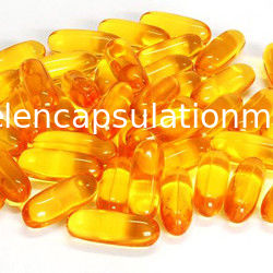 Máquina da capsulagem de Softgel da escala, máquina de enchimento líquida S406 de Softgel