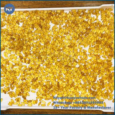 Produto comestível de secagem plástico de superfície liso durável 75 * 55 * 5cm das bandejas do PPE