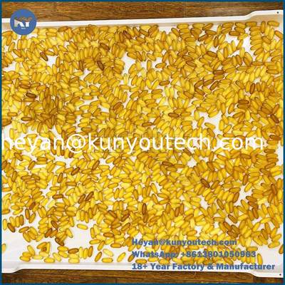 Bandeja de secagem de plástico com fundo plano em material PP/ABS 758x608x40mm para secagem de cápsulas