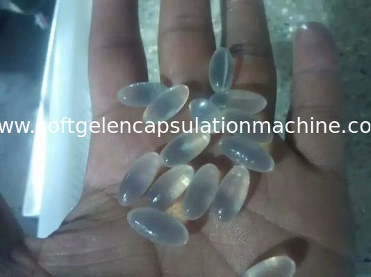 Material Halal da máquina Ss316 da capsulagem de Softgel do gel para o enchimento do óleo de Canabis