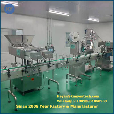 Garrafa SS304 da cápsula/tabuleta que conta e máquina de embalagem 10 - 120b/M Filling