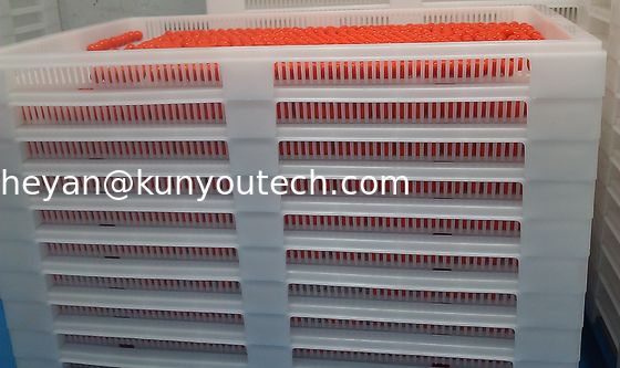 Bandejas plásticas empilháveis brancas do produto comestível/bandeja refrigerando 762*495*55mm