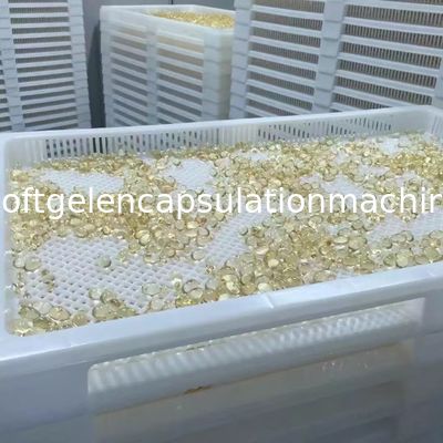 Tipo linha do rolo S403 de produção automática da máquina macia do Paintball da cápsula rolo do dado de 4 polegadas