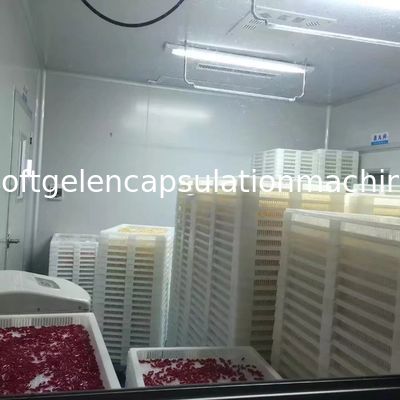 Linha de produção pequena da máquina da capsulagem de Softgel para fazer a cápsula macia S403