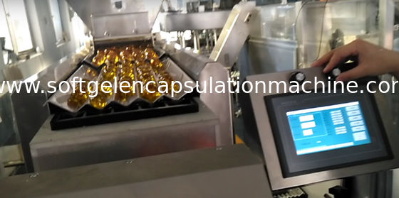 10 sacos/máquina de etiquetas tampando mínima da embalagem da contagem e do engarrafamento da cápsula