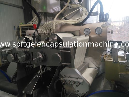 Garantia farmacêutica de fabricação de 1 ano da máquina da cápsula do controle do PLC