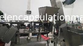 Cápsula da tabuleta que conta e máquina de empacotamento da garrafa da placa da vibração da máquina de embalagem multi