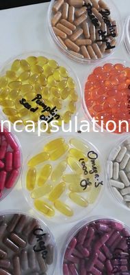 Molde macio 50000pcs/H da cápsula da capsulagem 103x152 da gelatina