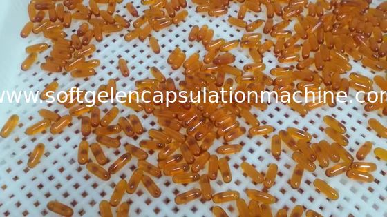 Máquina da capsulagem do óleo 50000 Capsule/H Softgel de SS316 Cbd