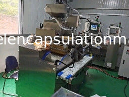 Máquina de Encapsulamento de Softgel de 6 RPM de Enchimento de Óleo de Peixe e Pasta 120000 Pcs/H