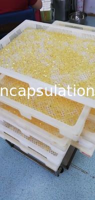 Máquina macia da cápsula de gelatina da capsulagem médica para o enchimento do óleo de peixes