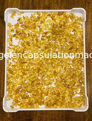 Parte inferior plástica de pouco peso 762*600*55mm de Tray Food Grade Stackable Flat do refrigerador