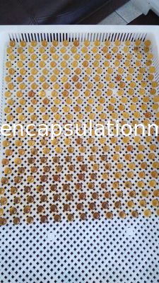 Pulsant que corta a máquina sem emenda de Softgel