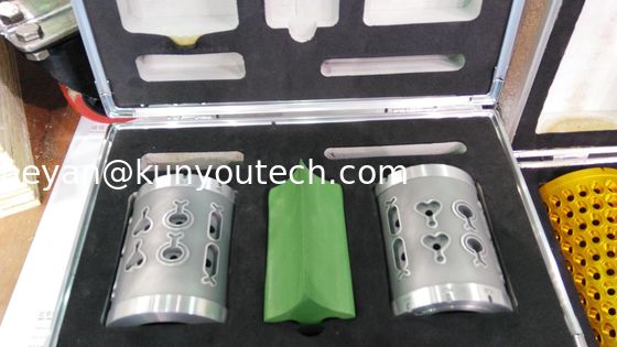 Os peixes dão forma ao molde de utilização de ferramentas da cápsula do rolo do dado para 10