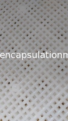 Produto o material de secagem plástico dos Pp das bandejas para o Paintball/cápsula de Softgel