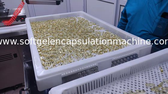 Máquina 7rpm da capsulagem de Softgel dos produtos farmacêuticos