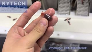 Máquina de encapsulamento servo softgel em forma de peixe